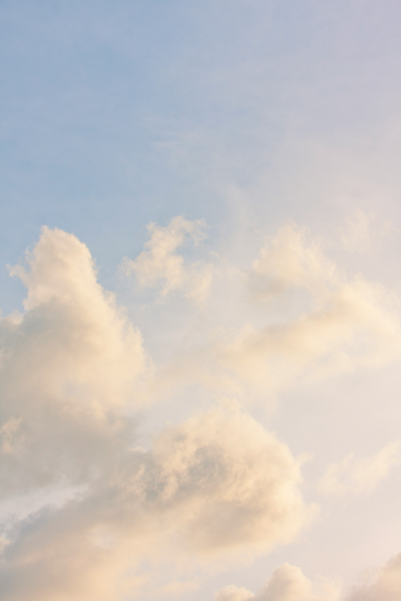 matt-palmer-WHJ1VaQpPsg-unsplash
